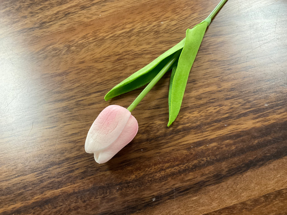 Pink tulip stem