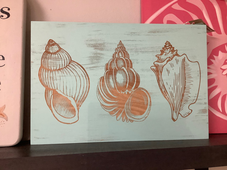3 seashells engraved picture